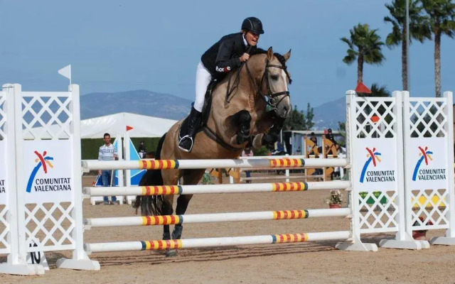 Los Caballos