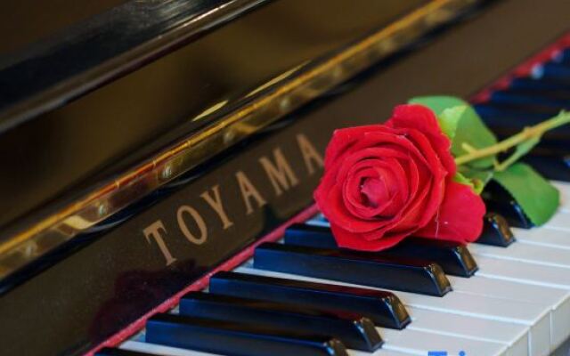 Hongji Business Hotel