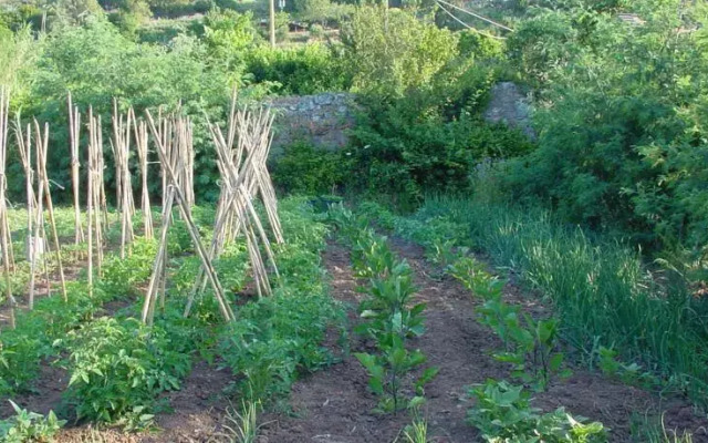 Agriturismo la Lecciola