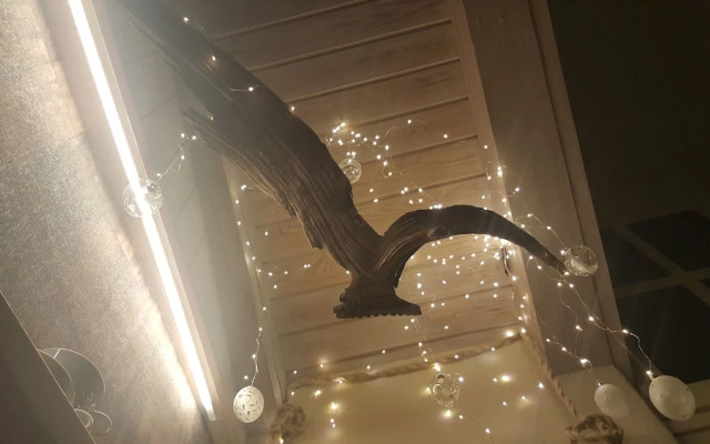 B&B L'angolino di Bonny