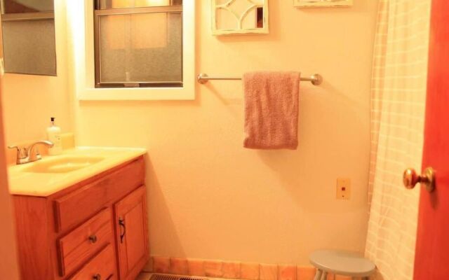 Fox St Criterion 54 - Aster