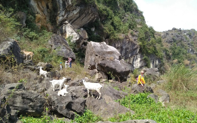 Ninh Binh Family Homestay