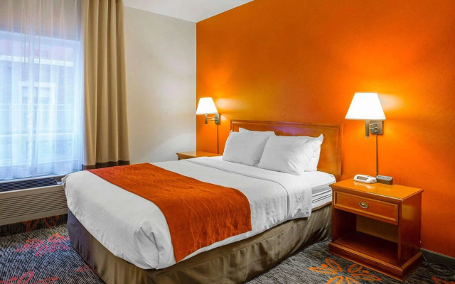 Comfort Inn & Suites University