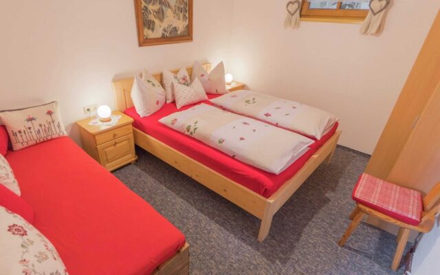 Animal -friendly Apartment in Leogang