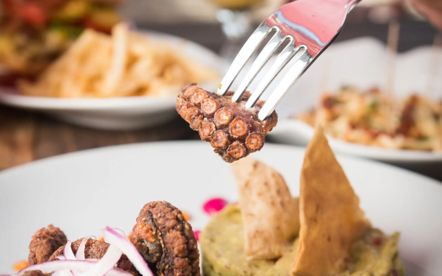 Villa Aikia Zipolite Adults Suites - Adults Only