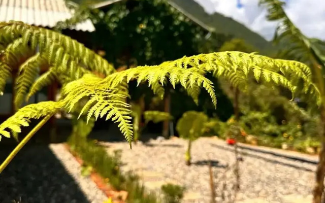 Dinh Sapa Trekking & Homestay