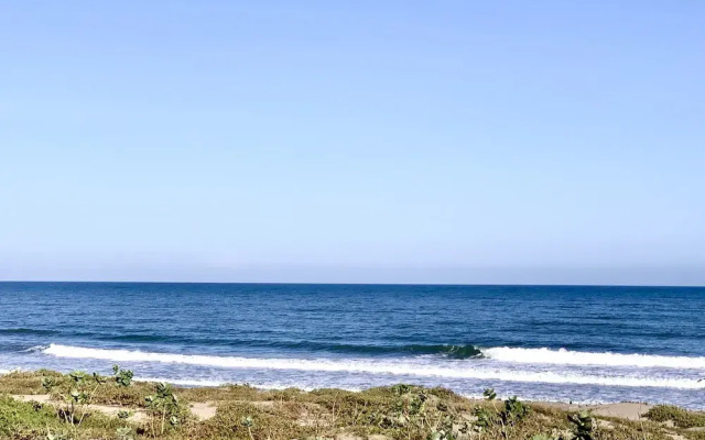 Ecoxata - Adults Only