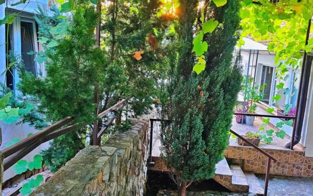 Studio Apartments Siesta