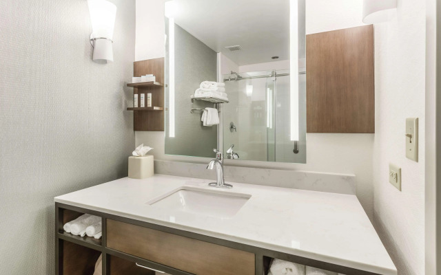 Hilton Garden Inn Chicago/Tinley Park