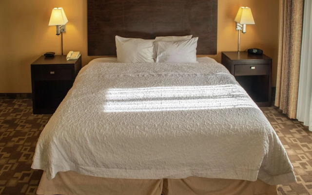 Hampton Inn Suitesknoxville/No