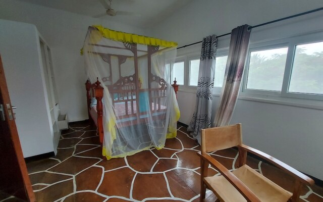 Leopard House