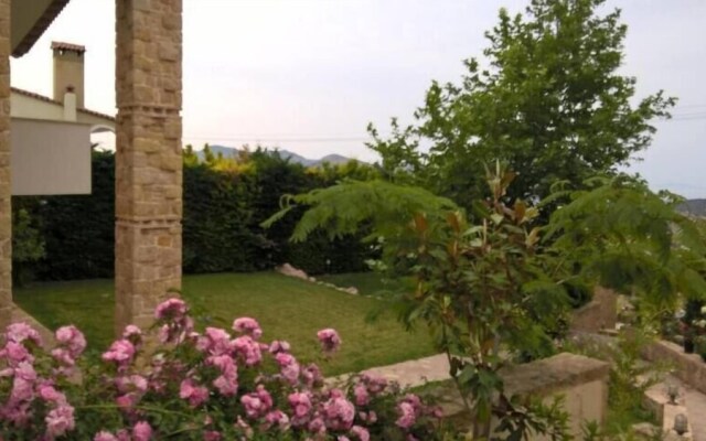 Platanus Gardenhouse
