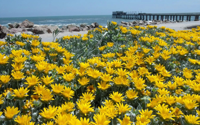 Chala-Kigi Apartments