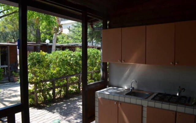 Camping Barchi