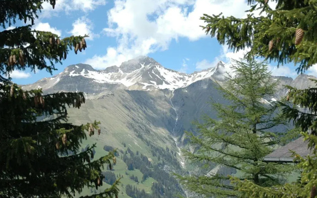 Detached Chalet on the Alm, Great Views, Privat Garden, Well Equipped