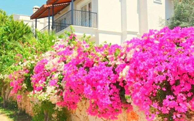 Leton Villa by rezervasyonyap