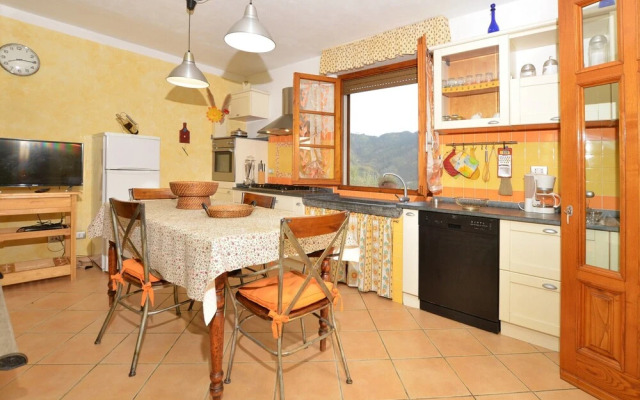 Gemelli