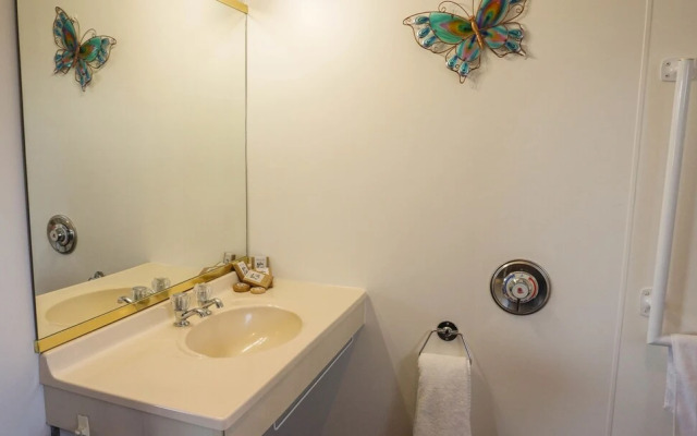 Colonial Motel Twizel