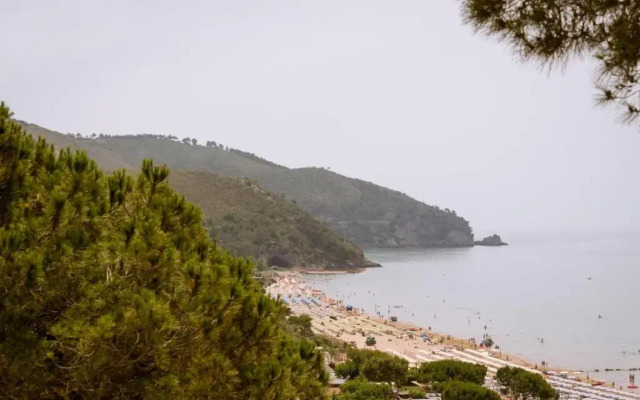 Vento Verde Apartments