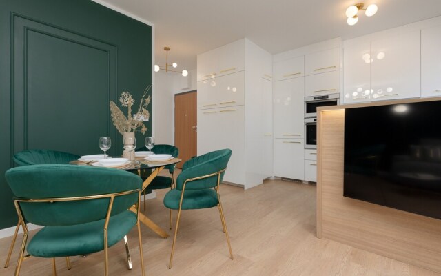 Dark Green Apartment by Renters