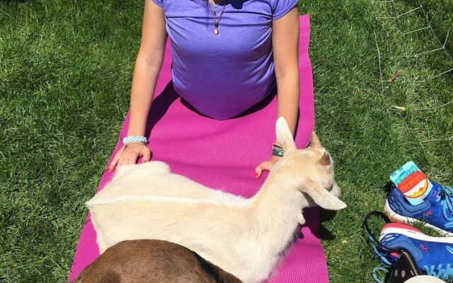 Rainbow Ridge Farms Bed and Breakfast Onalaska/La Crosse