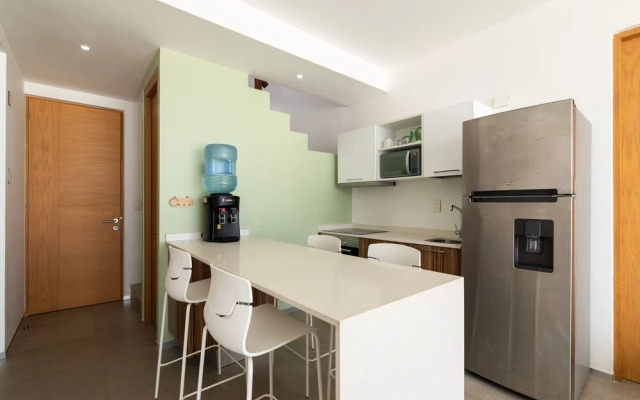 The City Condos by Playa Paradise