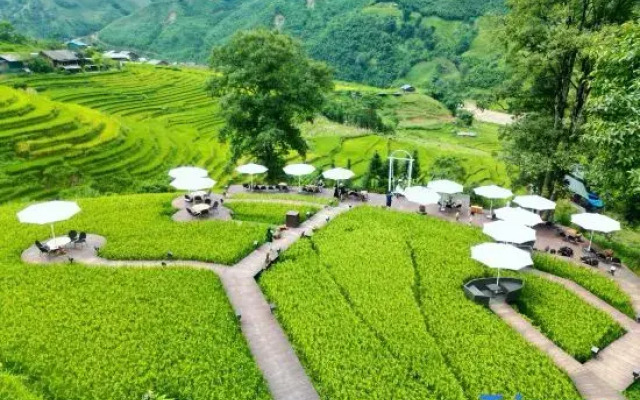 MT House Sa Pa - Mountain & Terraced fields View And Trekking Tour