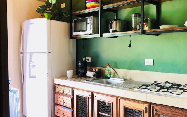 Historical Green House In Campeche