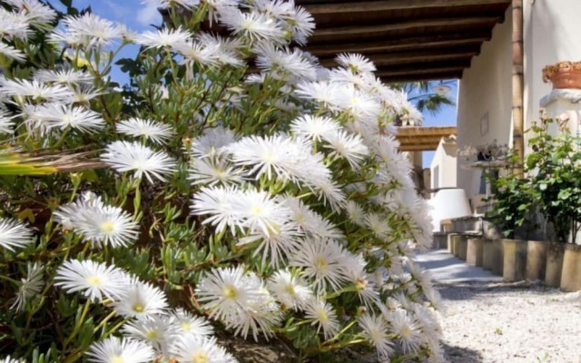Agriturismo Don Carlo