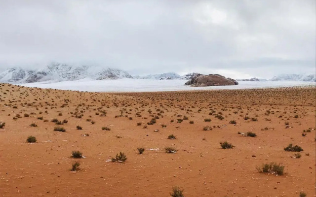 Wadi Rum Magic Nature Camp