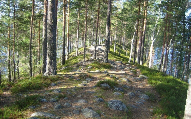 Pajarinniemi Cottage