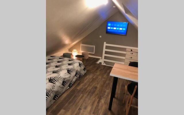 Studio 2 personnes centre ville