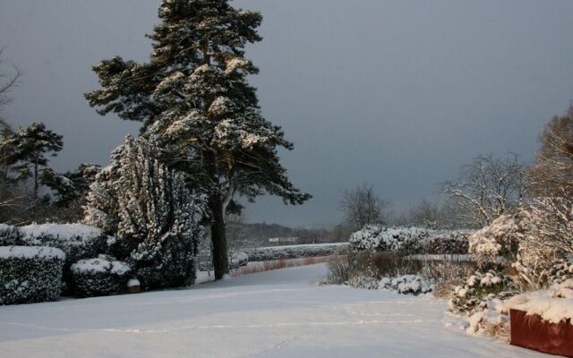 Bovey Cottage