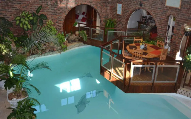 Dolphin View