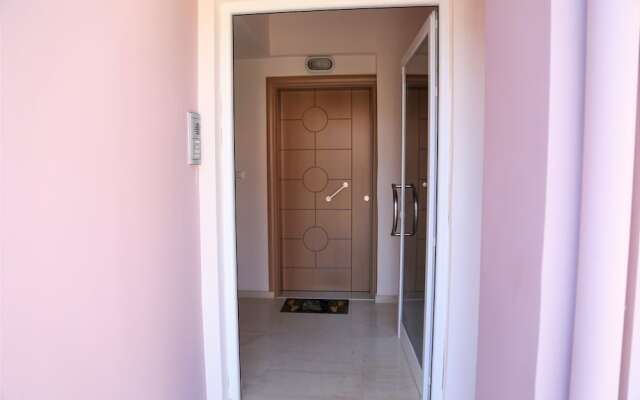 Astrantia-Adults Only