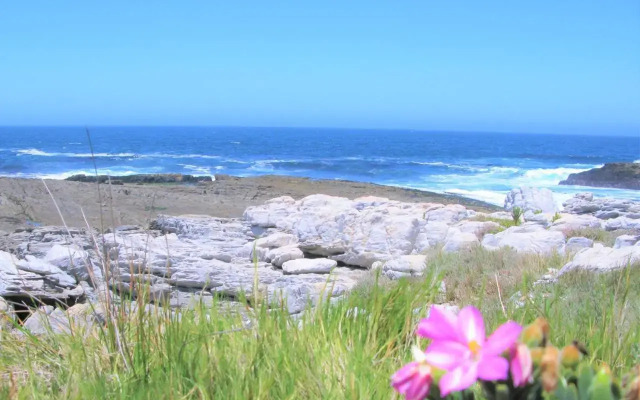Whale View Guest House
