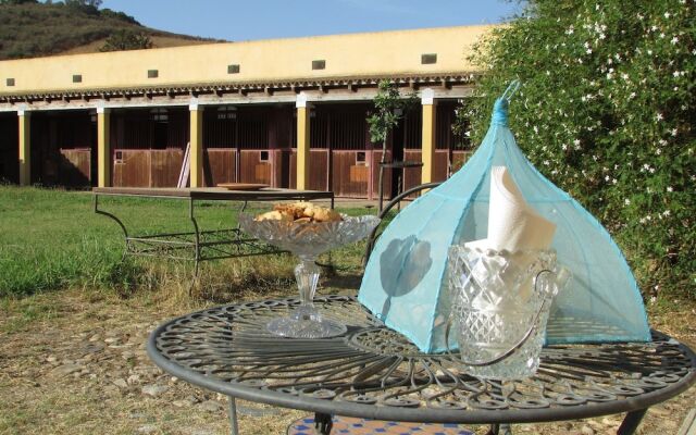 Cavalli di S'Arcaite