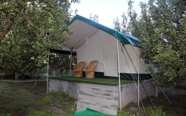 Apple Orchard Farm and Camping