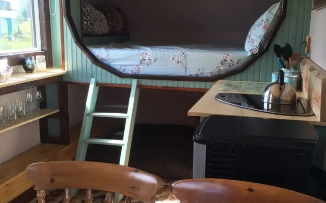 Balloch O'Dee - Bluebell