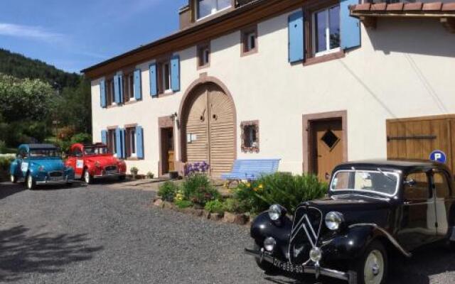 Bluets et Brimbelles