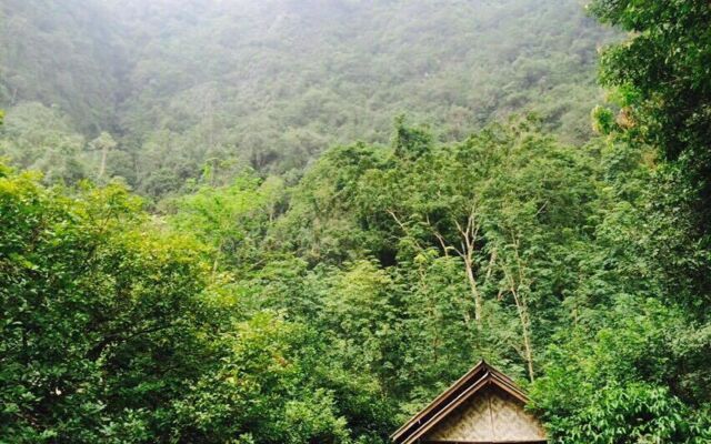 Khaosok Green Mountain View