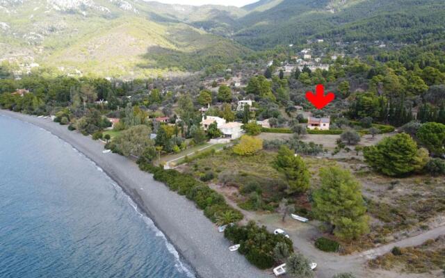 Green House - Εξοχική κατοικία με μεγάλο κήπο