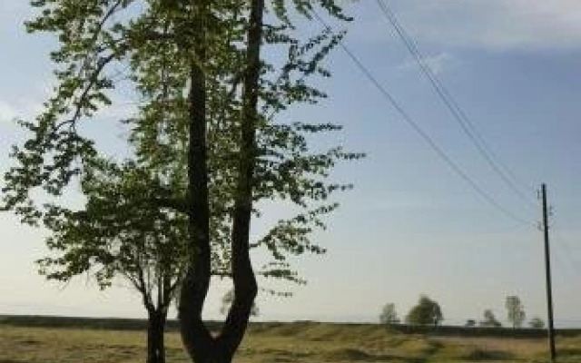 Guest House Nadezhda