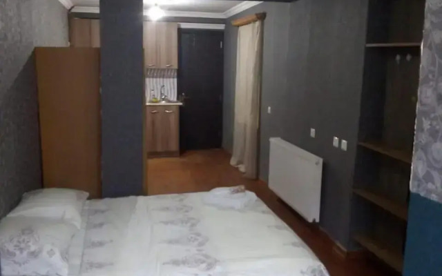 Apartment Shatberashvili Street
