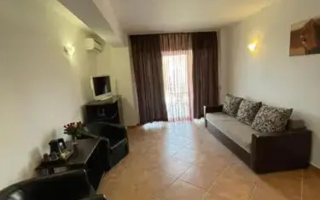 Casa Leului
