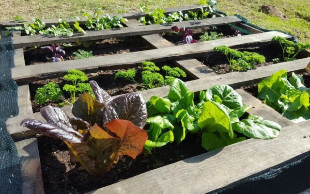 The Backpack Shack - Hostel