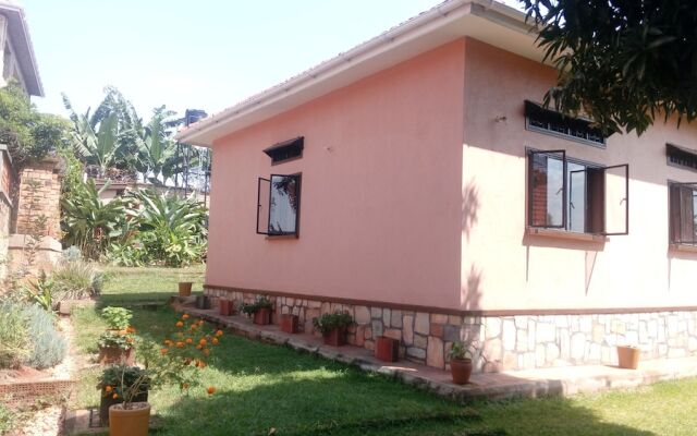 Ziso Home - Adults Only