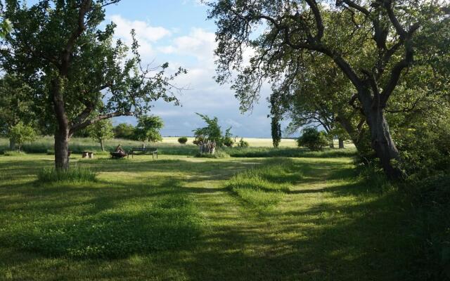 Holiday Home in Steffenshagen With Terrace
