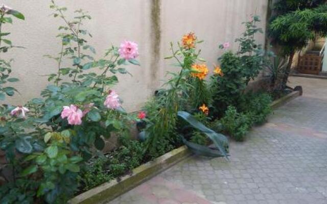 Solnechny Bereg Guest House