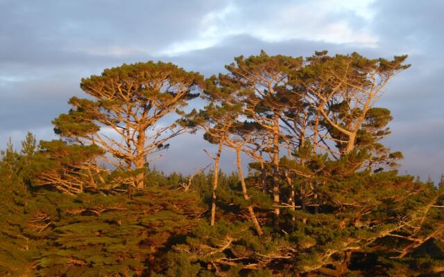 Pupu Rangi Nature Sanctuary - Conservation Area